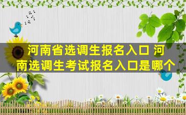 河南省选调生报名入口 河南选调生考试报名入口是哪个